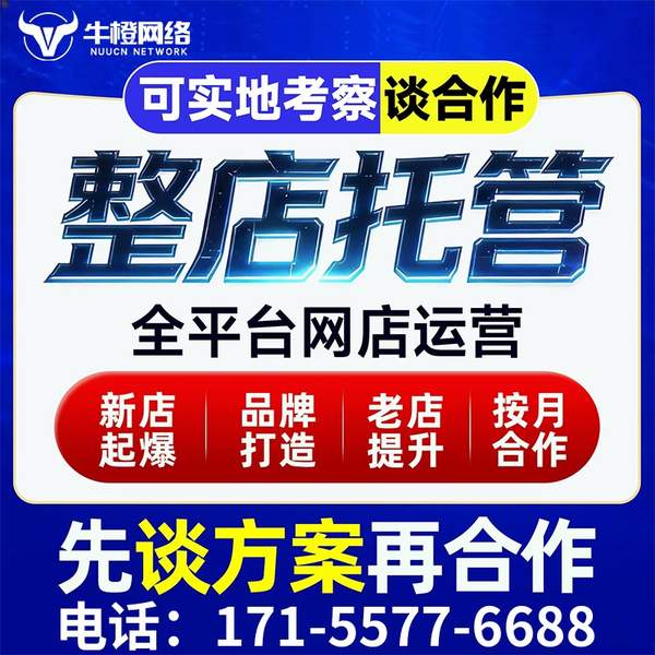 日喀则电商代运营