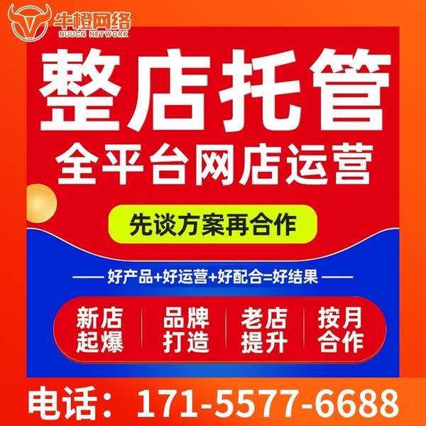 日喀则电商代运营
