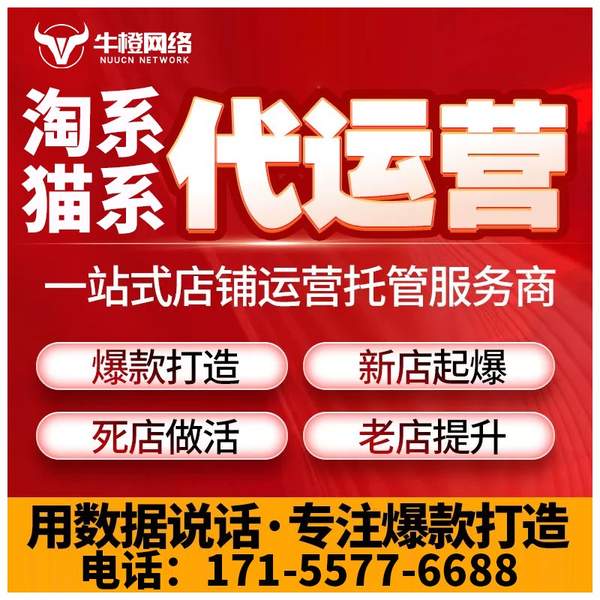 日喀则电商代运营